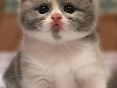 -仁信老铺(北滘店)
