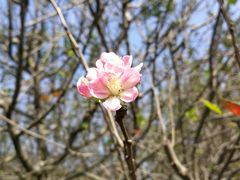 -上方山森林动物世界