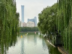 -团结湖公园