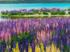 -派斯俊·本味(解放南路店)