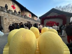 -爱新觉罗皇家博物院