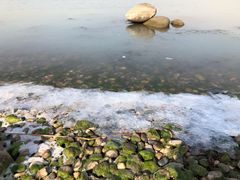 -苏州东太湖生态园