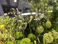 -blt精品超市(KKMALL京基店)