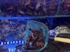 -虾铺子龙虾·私房菜(金源花苑店)