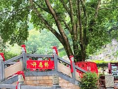 -灵光寺