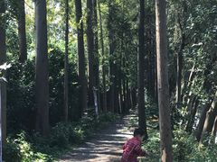-前小桔亲子创意农场·草莓采摘·露营烧烤