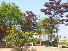 -东疆建设开发纪念公园