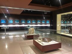 -青岛贝壳博物馆