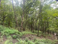 -帽儿山风景区