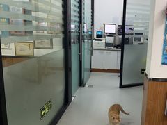 -瑞派雷欧宠物医院·中兽医·眼科·急重症转诊中心(黄台店)