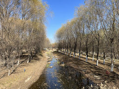 -莫子山公园