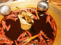 -小龙翻大江文化火锅(宽窄店)