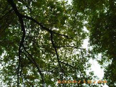 android_upload_pic-解放公园