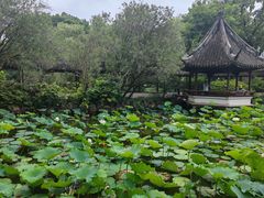 -上海醉白池公园