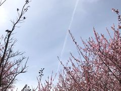 -石塘人家