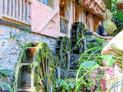 -天门沟九州驿站树上汤泉