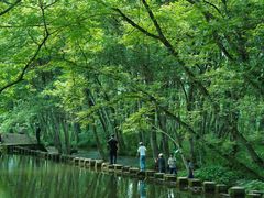 -西溪南古村落景区