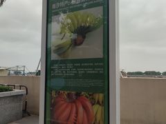 -大湾区中央湿地公园-十九涌