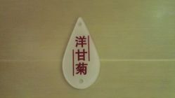 -女王传奇SPA·美容美体