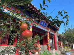 -千佛山风景名胜区