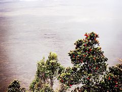 -夏威夷火山国家公园