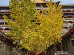 -大明幻境第一城