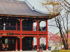 -顺峰山公园