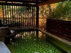 -北京乐多港万豪酒店-汤乐宫温泉