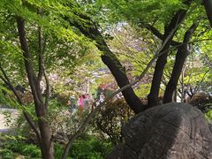 -洛阳市隋唐城遗址植物园