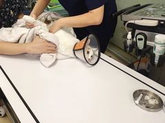 -爱侣宠医·鹦鹉专科·小型哺乳类·异宠专科(灵石路店)