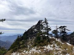 -朱雀国家森林公园