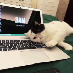 -3AM HAIR SALON烫发染发接发