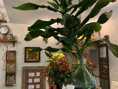 -绿房子方寸咖啡(星海名城店)