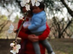 -白塘生态植物园