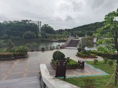 -大屏嶂森林公园