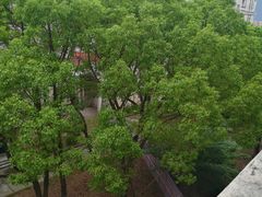 -同济大学(沪西校区)