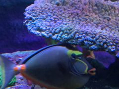 -沈阳海洋探索中心