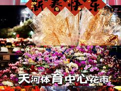 -天河体育中心
