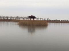 -南大港湿地风景区
