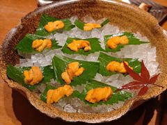 -月龍吟(朝龙汇店)