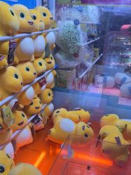 -卡通尼·Safari非洲探索乐园·生日会(金桥国际商业广场店)