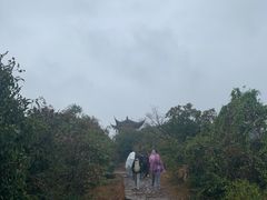 -西湖风景区十里琅珰-五云山