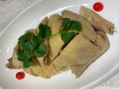 白斩鸡-金米箩大酒店(五角场店)