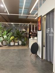 -BOF HAIR BY HONTO