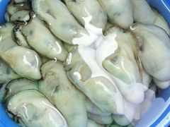 -澳门环岛游湾仔码头