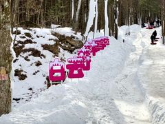 -洛阳白云山景区