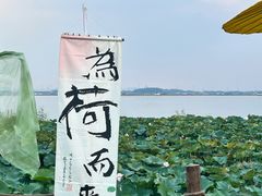 -七的湖·晚芳亭·阳澄湖农家菜·大闸蟹(莲花岛店)