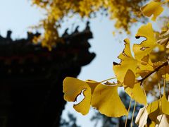 -承恩寺