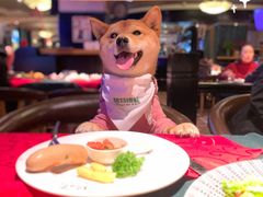-碧特博格·20年品牌西餐厅(芜湖路店)