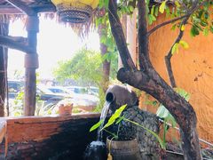 -园林美食城·本土农家菜(杨和镇店)